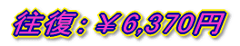 往復:¥6,370円